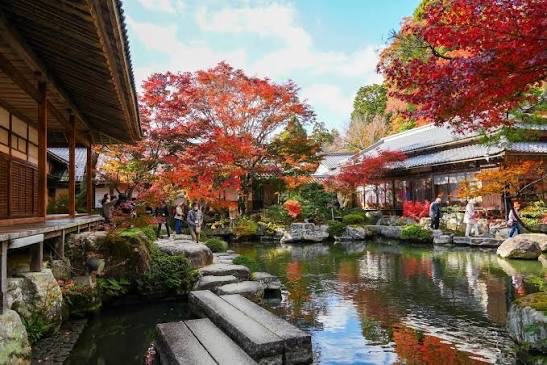 Hyakusaiji Temple Autumn Leaves Shiga